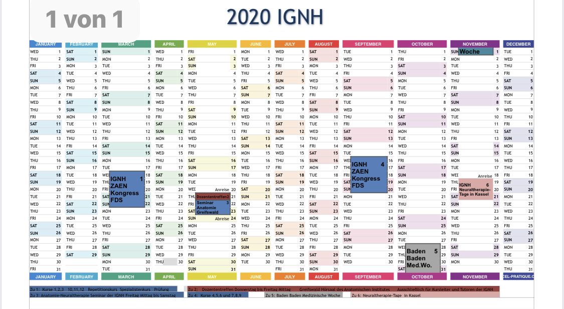 IHNH 2020